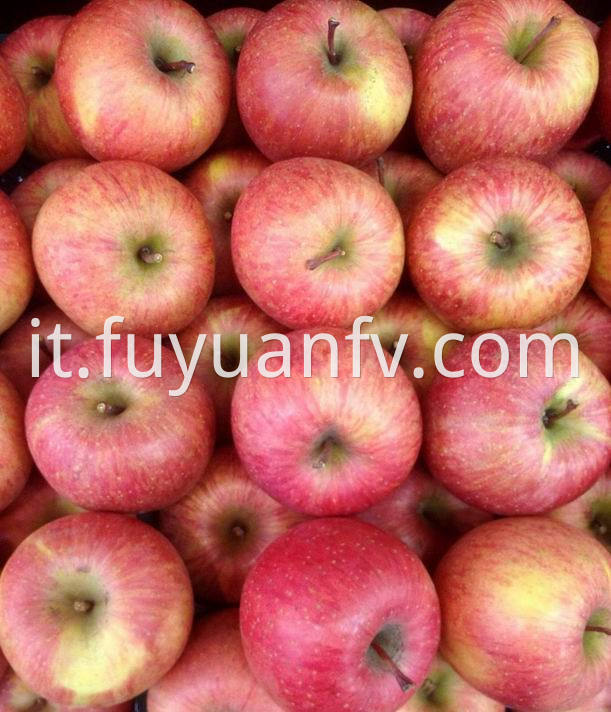 Fuji Apple 62